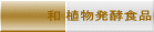 和 植物発酵食品 